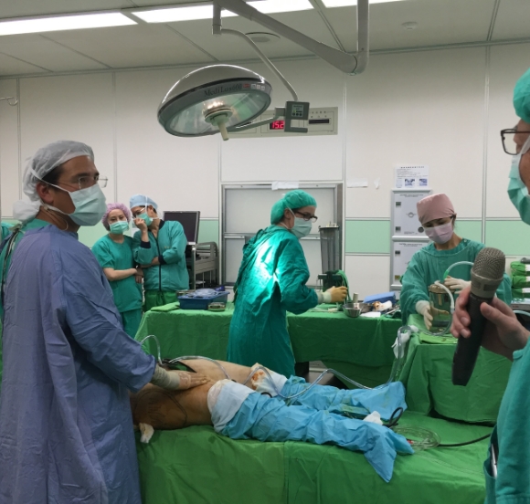Dr. Simeon Wall Jr. - Taipei live surgical training