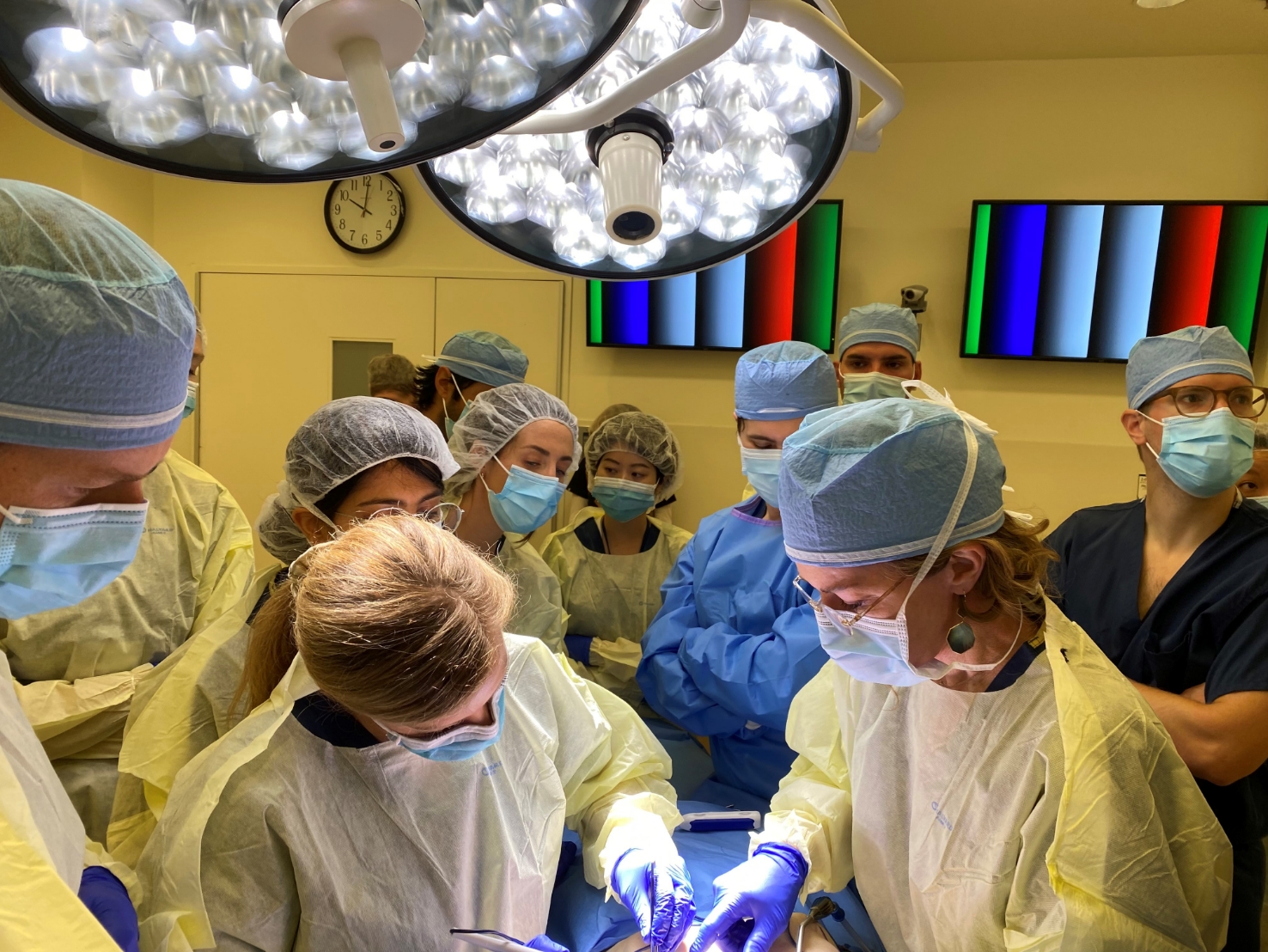 Dr. Holly Casey Wall, Plastic Surgeon in Shreveport The Wall Center