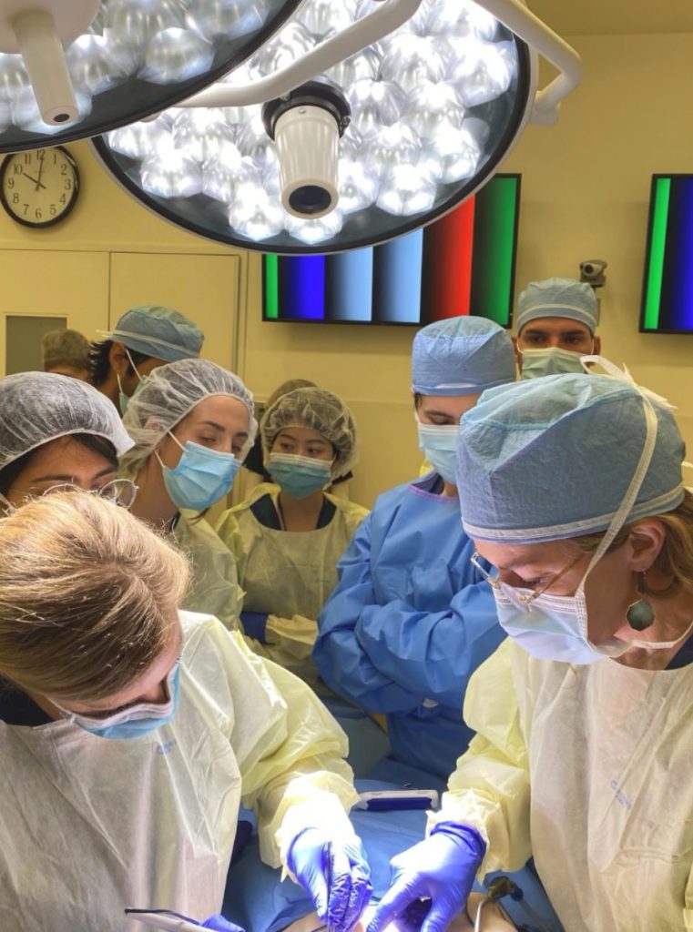 Holly Casey Wall MD – Visiting Professor to University of California in San Diego plastic surgery program.