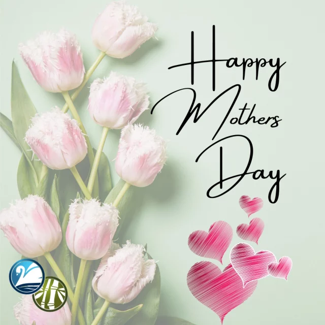 🌸 Happy Mother’s Day! 🌸 

Today, we celebrate the incredible women who inspire us with their strength, love, and unwavering support. To all the mothers, grandmothers, and mother figures in our community, thank you for your dedication and guidance. Your impact is immeasurable, and we appreciate everything you do. 

Wishing you a day filled with joy, love, and special moments! 💖

#MothersDay #CelebrateMoms #Gratitude